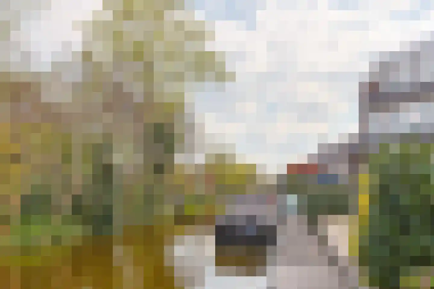 Reghthuysplein 14 H Nieuwkoop thumbnail 38