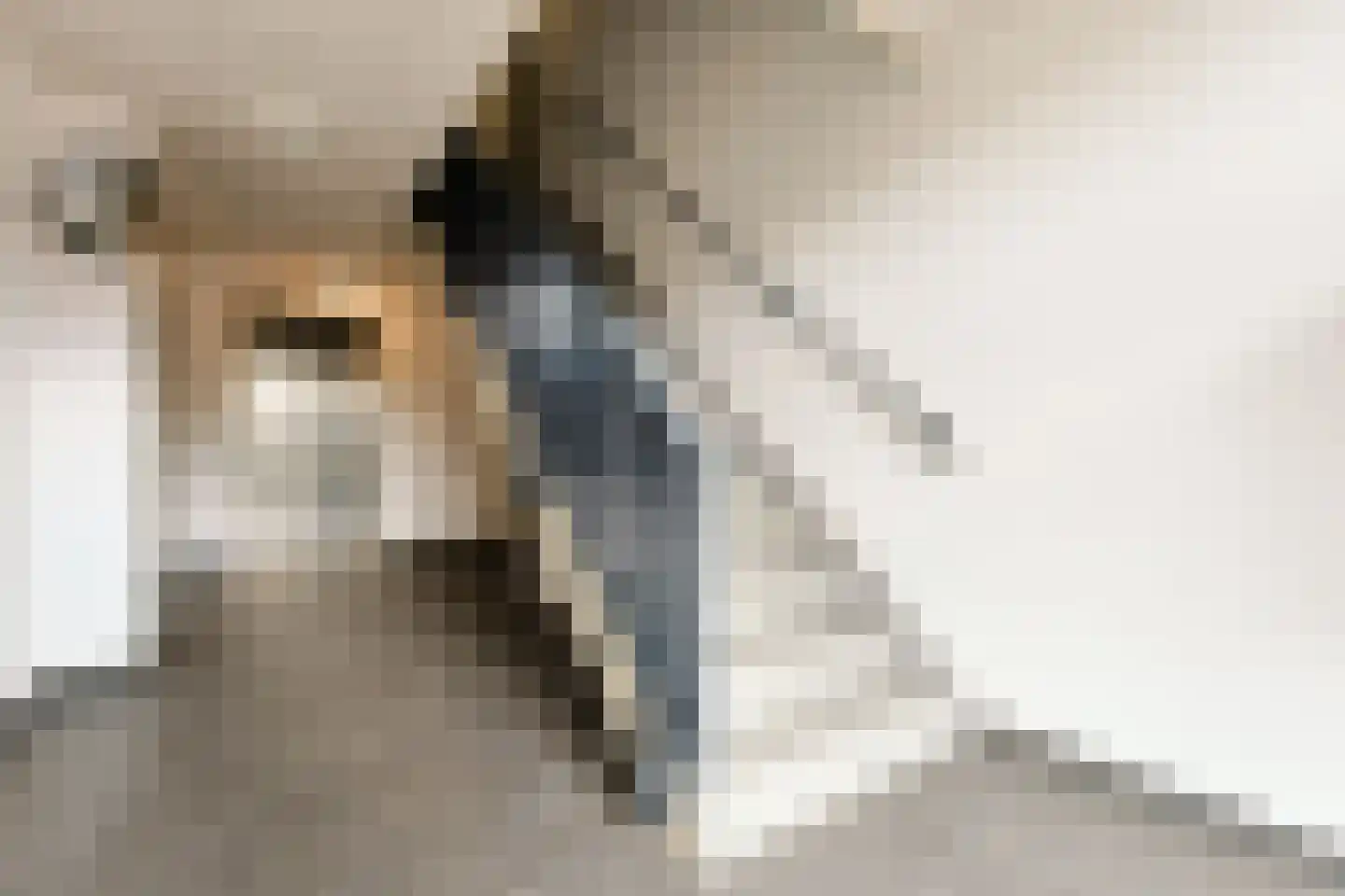 Reghthuysplein 14 L Nieuwkoop thumbnail 7
