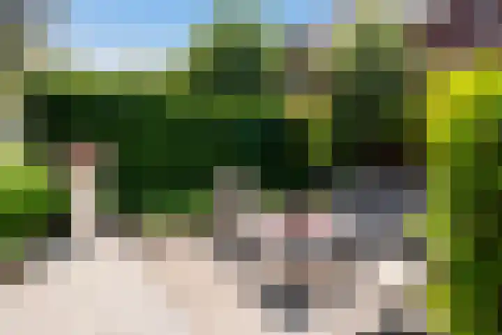 Regiment 13 Ede thumbnail 26