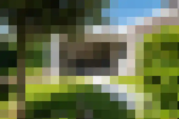Regiment 13 Ede thumbnail 31