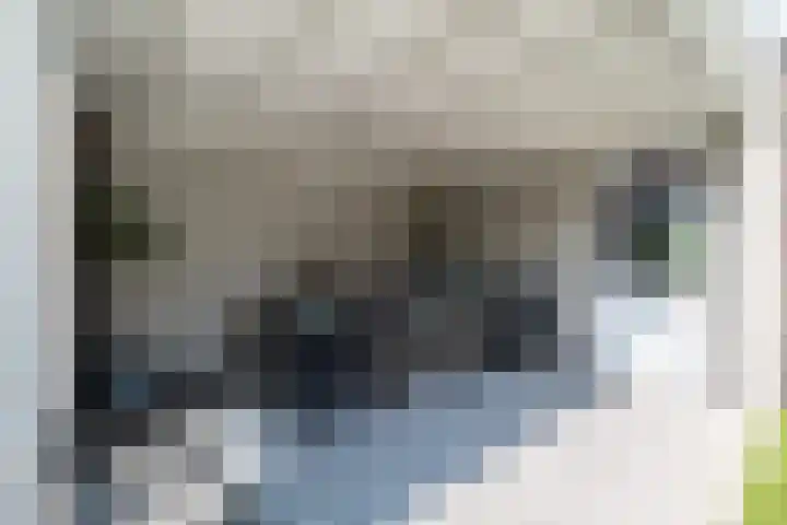 Regiment 13 Ede thumbnail 34
