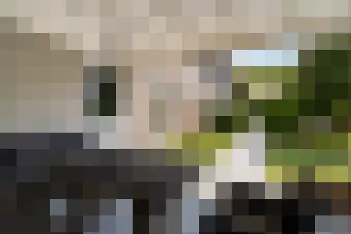 Regiment 13 Ede thumbnail 35