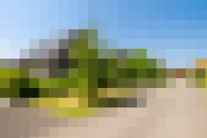 Regiment 13 Ede thumbnail 41