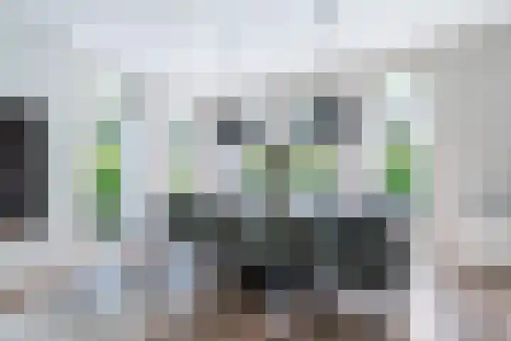 Regiment 13 Ede thumbnail 8