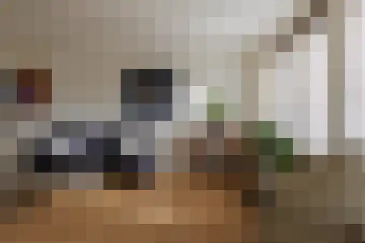Regimentslaan 10 Zuidlaren thumbnail 11
