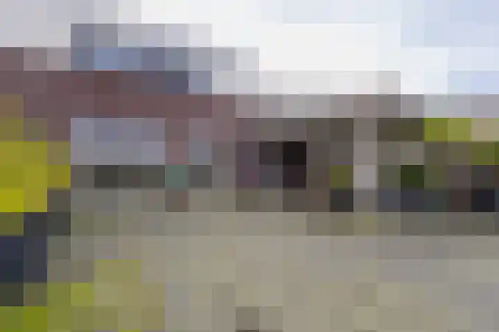 Regimentslaan 10 Zuidlaren thumbnail 27
