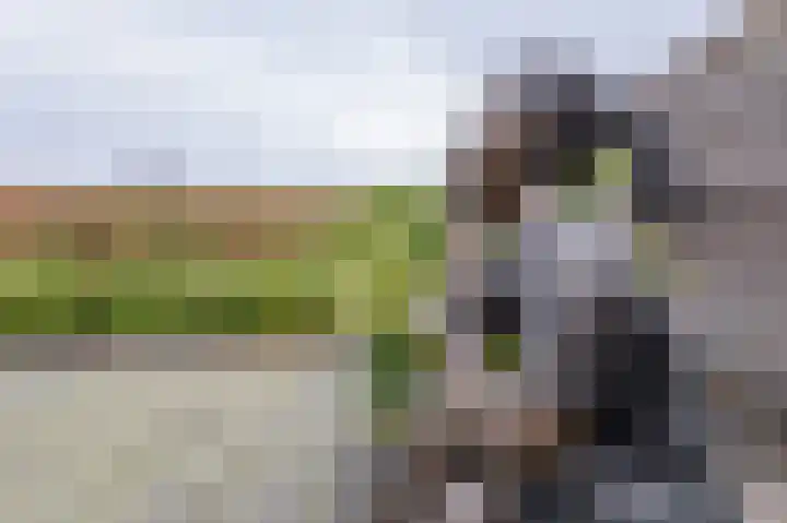 Regimentslaan 10 Zuidlaren thumbnail 32