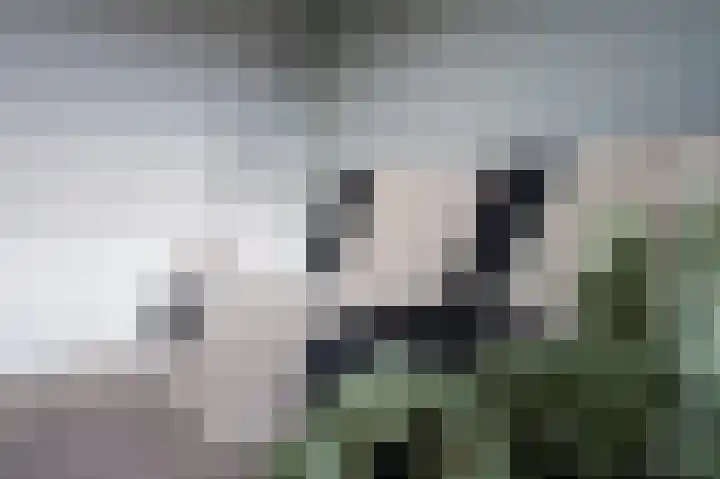 Regimentslaan 10 Zuidlaren thumbnail 51