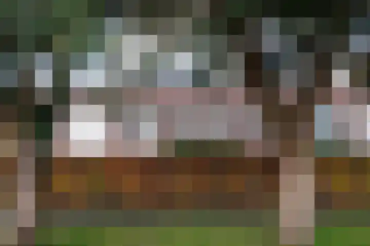 Regimentslaan 10 Zuidlaren thumbnail 66