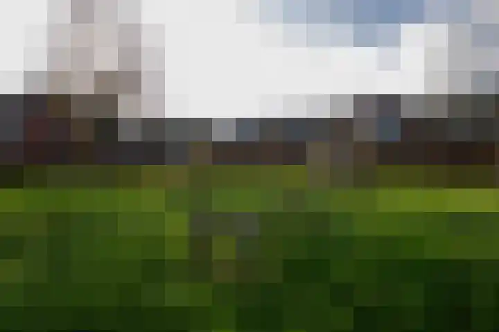 Regimentslaan 10 Zuidlaren thumbnail 69