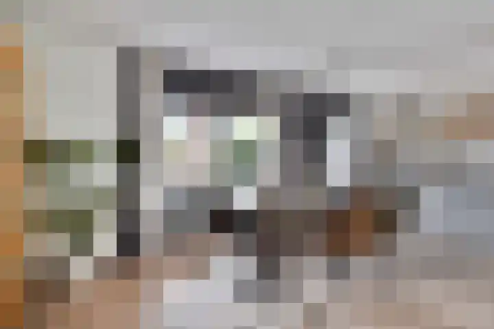 Regimentslaan 13 Zuidlaren thumbnail 13