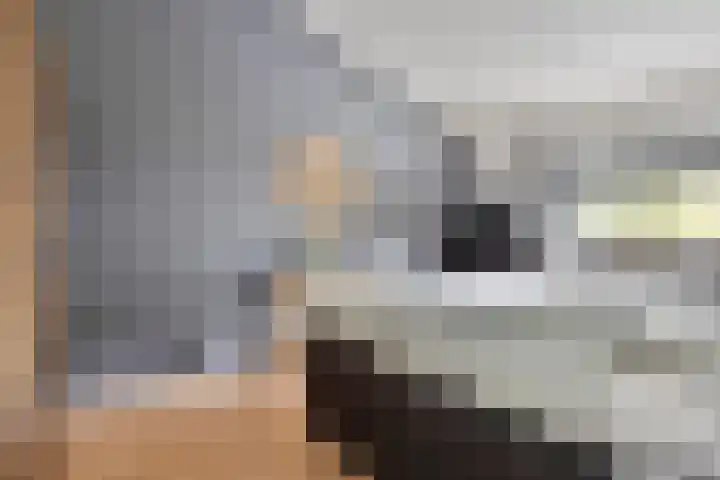 Regimentslaan 13 Zuidlaren thumbnail 20