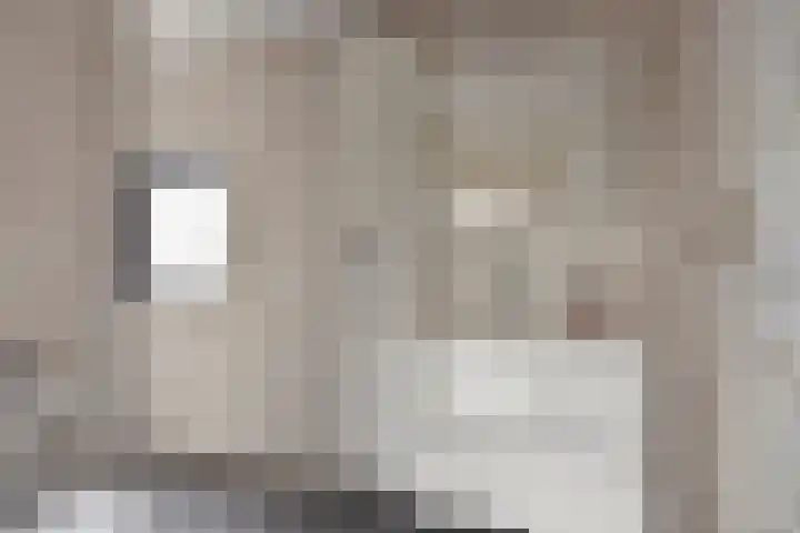 Regimentslaan 13 Zuidlaren thumbnail 22
