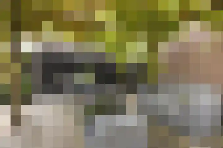 Regimentslaan 13 Zuidlaren thumbnail 31