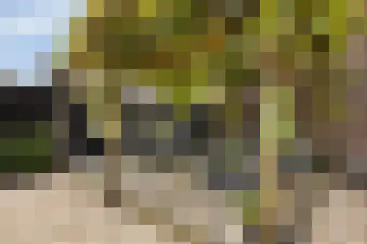 Regimentslaan 13 Zuidlaren thumbnail 33