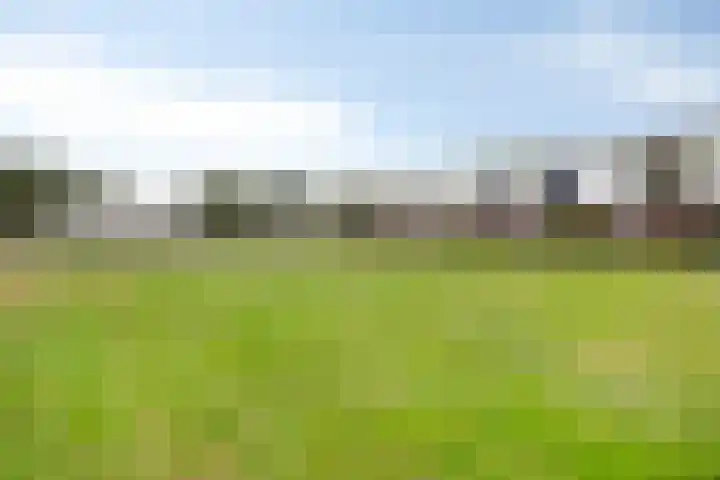 Regimentslaan 13 Zuidlaren thumbnail 43