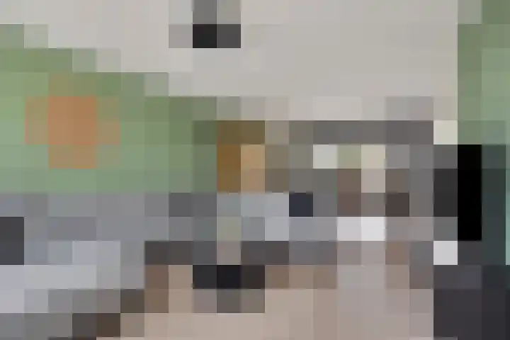 Regimentslaan 13 Zuidlaren thumbnail 8