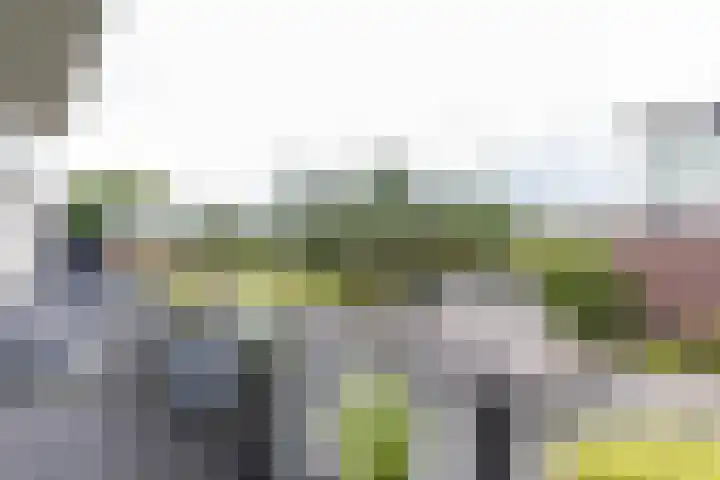 Regimentslaan 16 Zuidlaren thumbnail 12