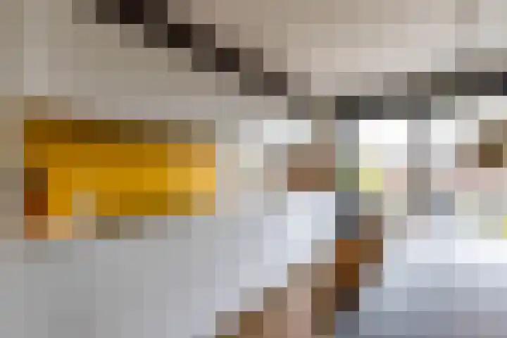 Regimentslaan 16 Zuidlaren thumbnail 18