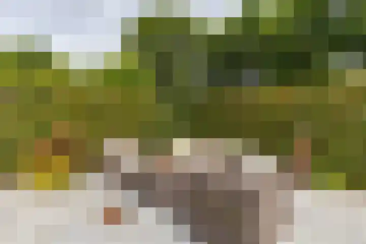 Regimentslaan 16 Zuidlaren thumbnail 37