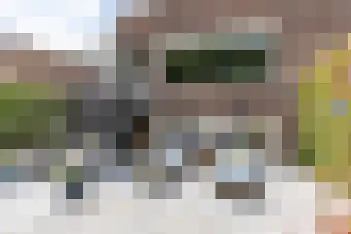 Regimentslaan 16 Zuidlaren thumbnail 39