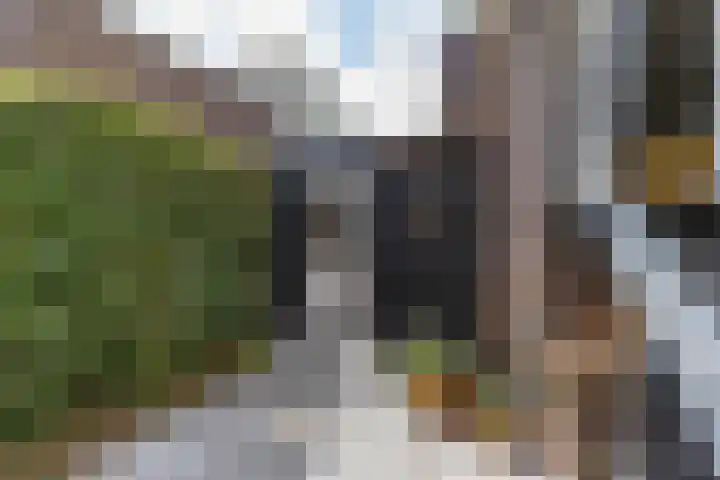 Regimentslaan 16 Zuidlaren thumbnail 41
