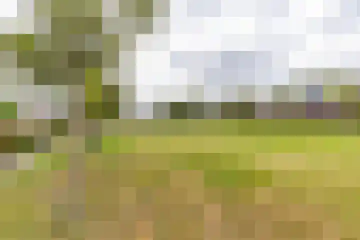Regimentslaan 16 Zuidlaren thumbnail 46