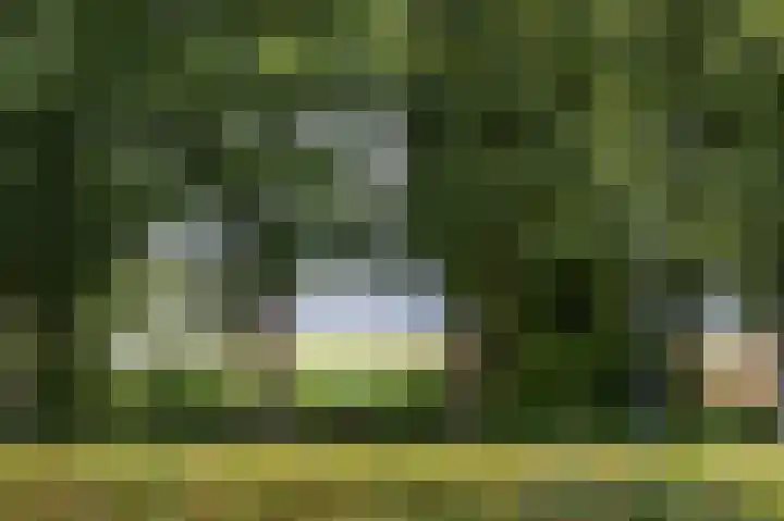 Regimentslaan 16 Zuidlaren thumbnail 47