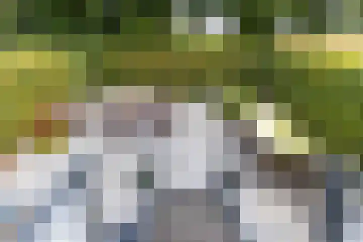 Regimentslaan 16 Zuidlaren thumbnail 5