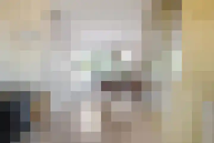 Regimentslaan 18 Zuidlaren thumbnail 30