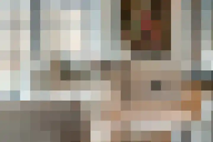 Regina Verweykade 8 Rotterdam thumbnail 18