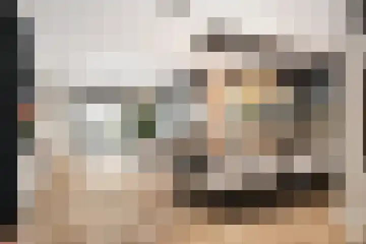 Regina Verweykade 8 Rotterdam thumbnail 22