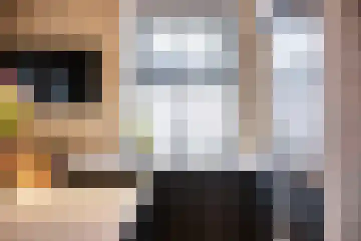 Regina Verweykade 8 Rotterdam thumbnail 29