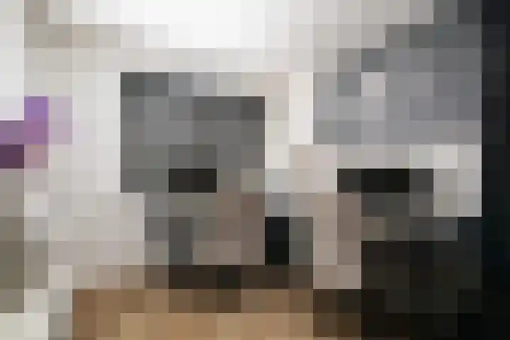 Regina Verweykade 8 Rotterdam thumbnail 32