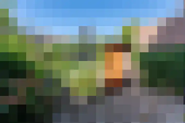 Reginastraat 11 Delfgauw thumbnail 12