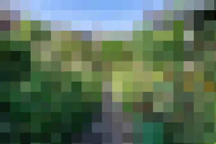 Reginastraat 11 Delfgauw thumbnail 14