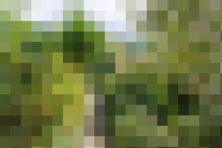 Reginastraat 11 Delfgauw thumbnail 15