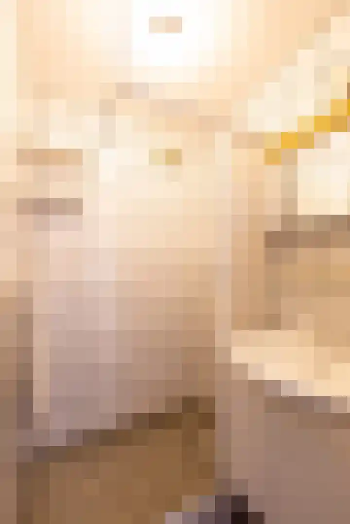 Reginastraat 11 Delfgauw thumbnail 25