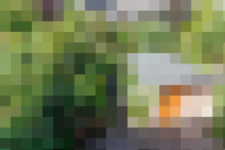 Reginastraat 11 Delfgauw thumbnail 31