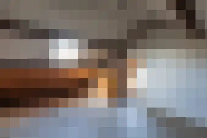 Reginastraat 11 Delfgauw thumbnail 32
