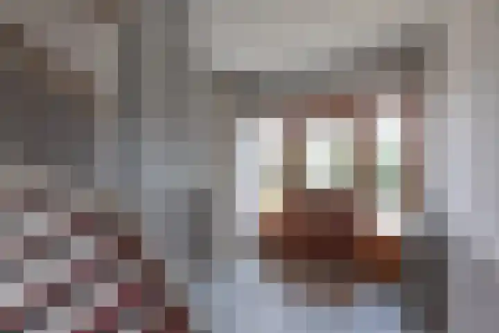 Reginastraat 11 Delfgauw thumbnail 34