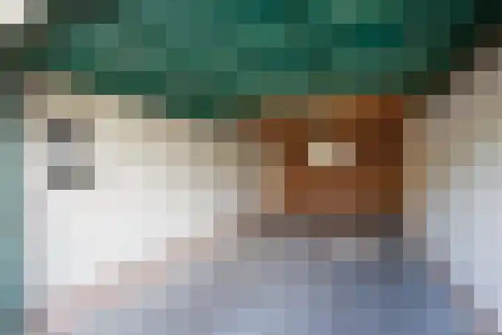 Reginastraat 11 Delfgauw thumbnail 35
