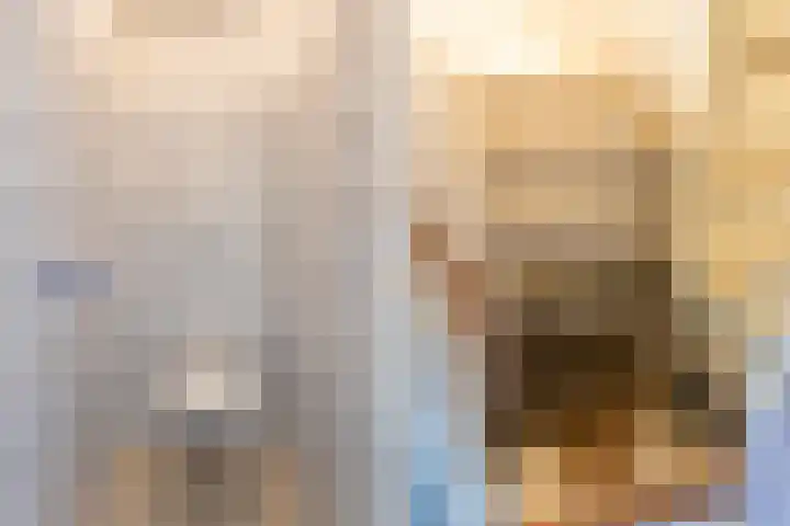 Reginastraat 11 Delfgauw thumbnail 8