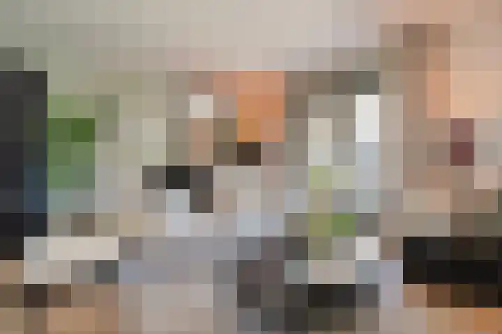 Reginastraat 15 Hengelo thumbnail 16