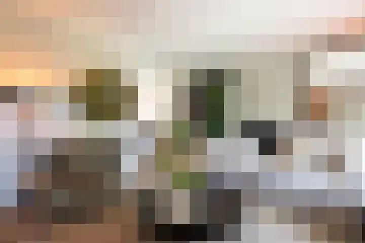 Reginastraat 15 Hengelo thumbnail 17