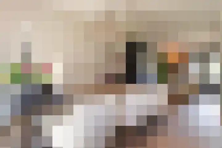 Reginastraat 15 Hengelo thumbnail 20
