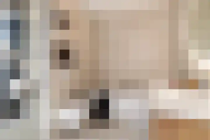 Reginastraat 15 Hengelo thumbnail 30