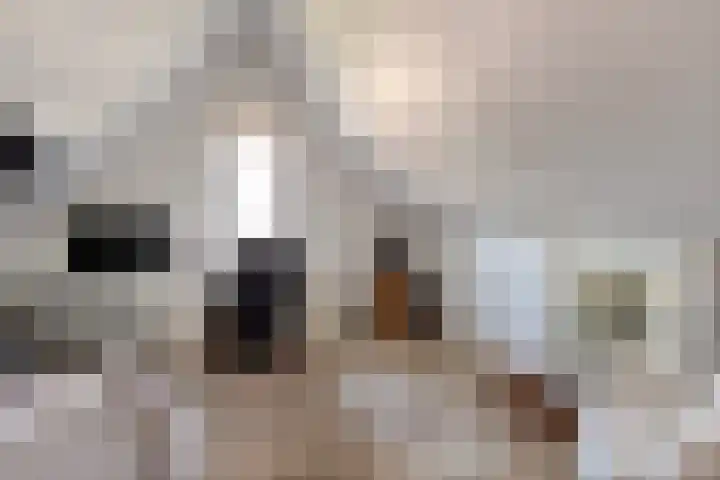 Reginastraat 15 Hengelo thumbnail 36