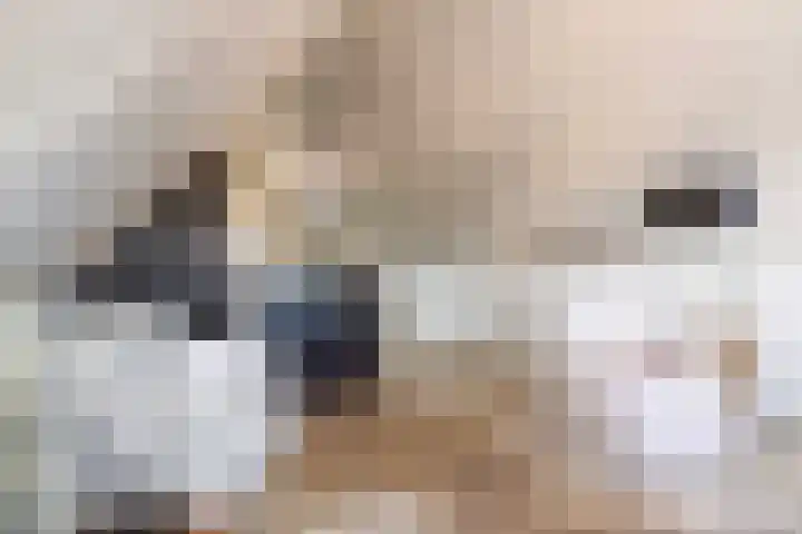 Reginastraat 15 Hengelo thumbnail 37