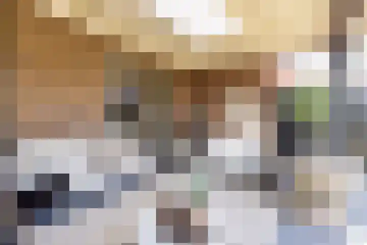 Reginastraat 15 Hengelo thumbnail 40